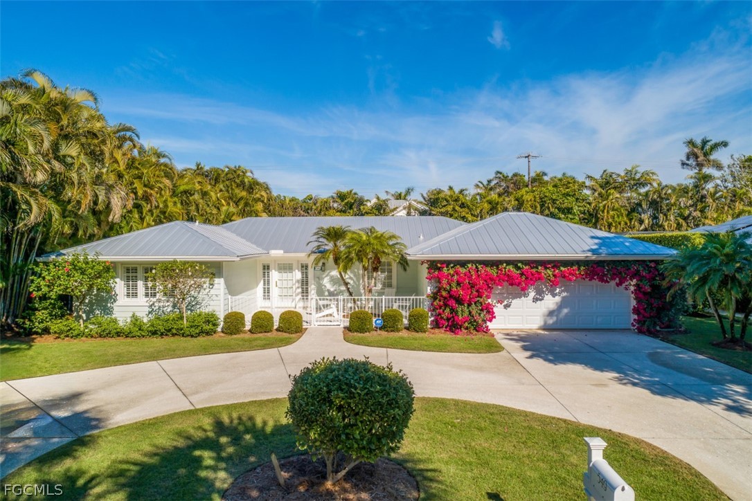 a view of yard with yellow and green space