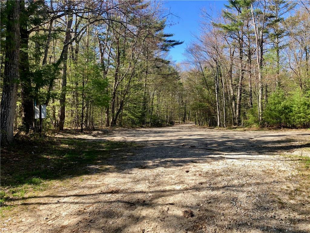 Lot 7 Zakelo Road Harrison, ME 04040 - Photo 4 of 21 View looking down the well...
