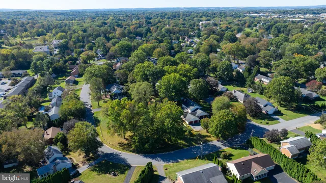 a view of a garden with plants