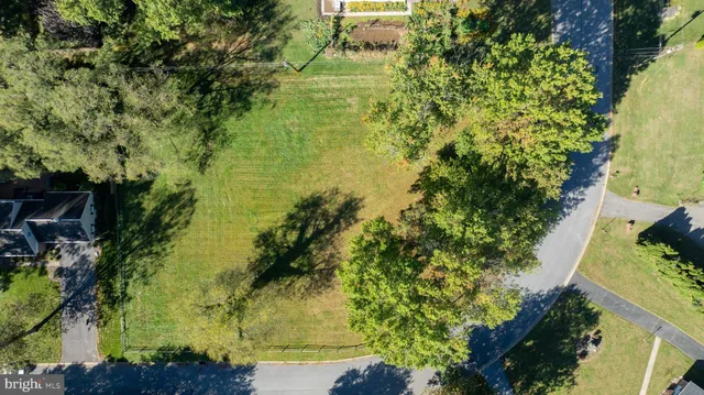 a view of a yard with plants and large trees