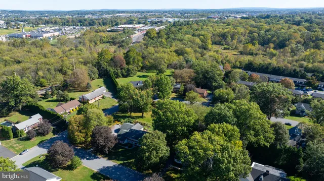 an aerial view of green landscape with trees houses and mountain view
