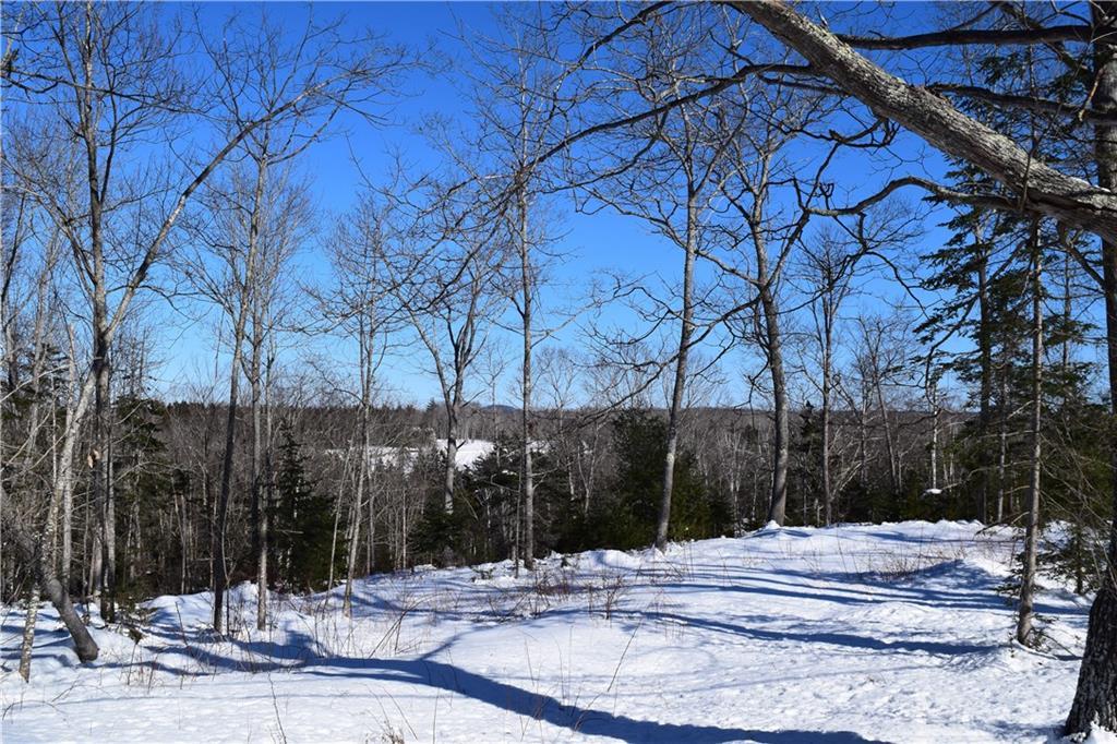 0 Dunbar Road Penobscot, ME 04476 - Photo 8 of 8 Photo