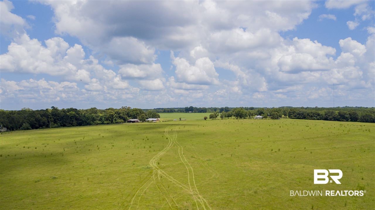 22290 Oak Tree Lane Robertsdale, AL 36567 - Photo 13 of 37