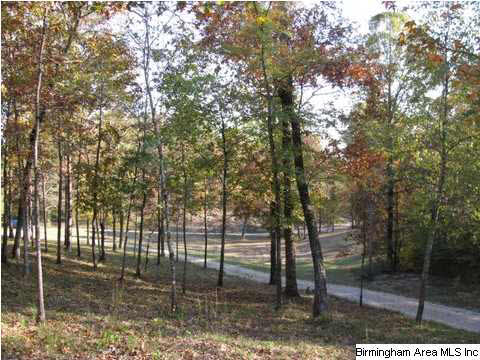 6925 Grey Hill Road West Blocton, AL 35184 - Photo 26 of 32