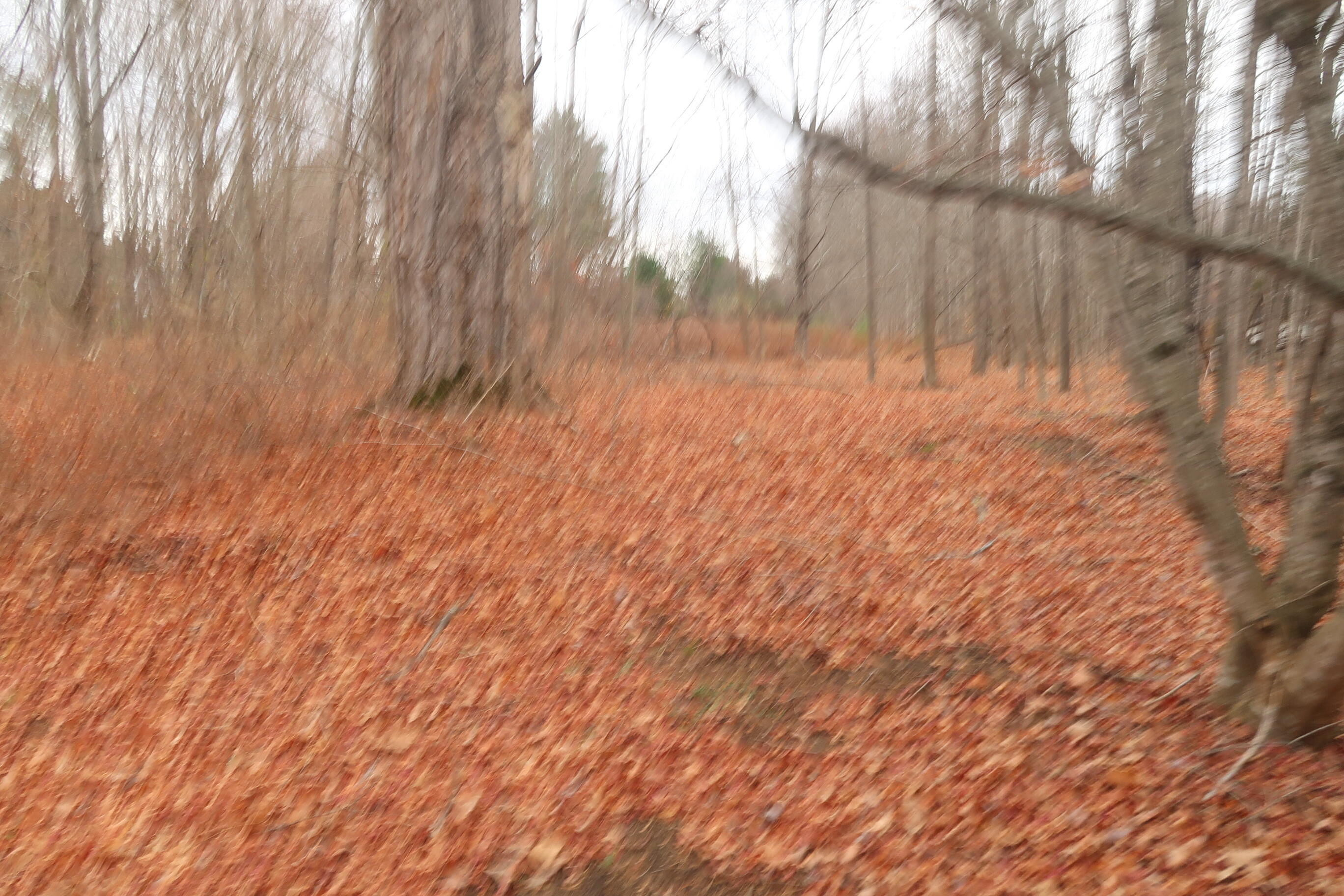 226 Pond Road Manchester, ME 04351 - Photo 5 of 14 IMG_4276