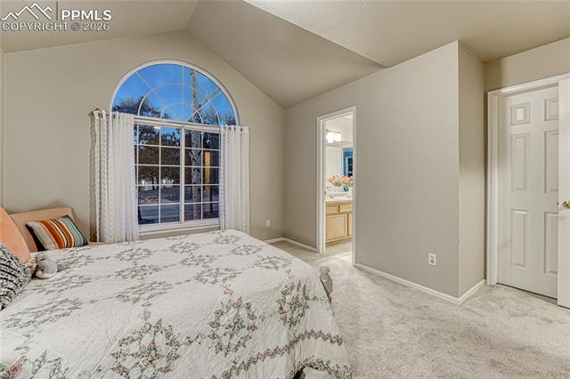 15585 Falcon Ridge Court Colorado Springs, CO 80921 - Photo 25 of 50 Gallery Image 25