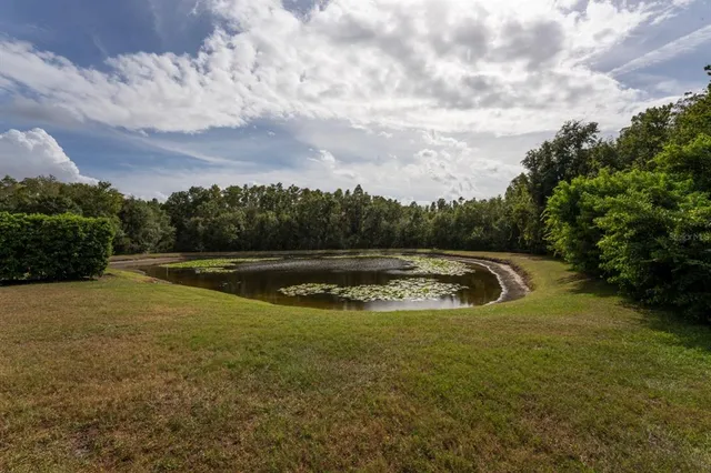 $4,495 | 3037 Lynwood Court, Land O Lakes, FL 34638