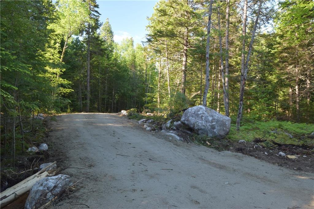 Lot 6 Loop Road Lincoln, ME 04457 - Photo 5 of 13 Photo
