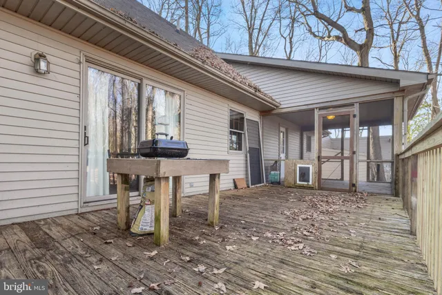 a view of park with large trees