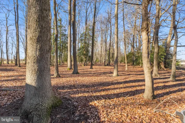 $525,000 | 19268 Deerfield Road, Bridgeville, DE 19933