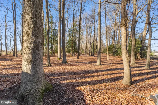 $525,000 | 19268 Deerfield Road, Bridgeville, DE 19933