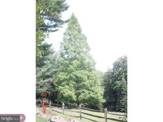 217 Dutton Mill Road West Chester, PA 19380 - Photo 5 of 5 Gallery Image 5