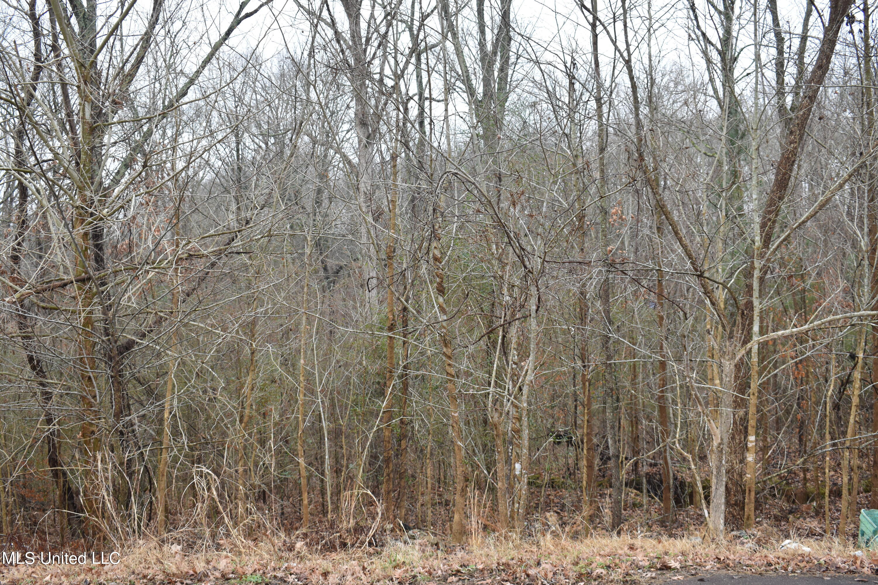102 Ridgewood Cove Coldwater, MS 38618 - Photo 1 of 3 DSC_0017