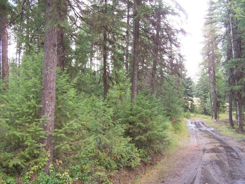 192 X Flora Road Colville, WA 99114 - Photo 11 of 18 Gallery Image 11