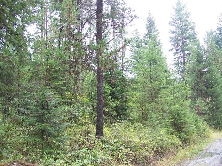192 X Flora Road Colville, WA 99114 - Photo 13 of 18 Gallery Image 13