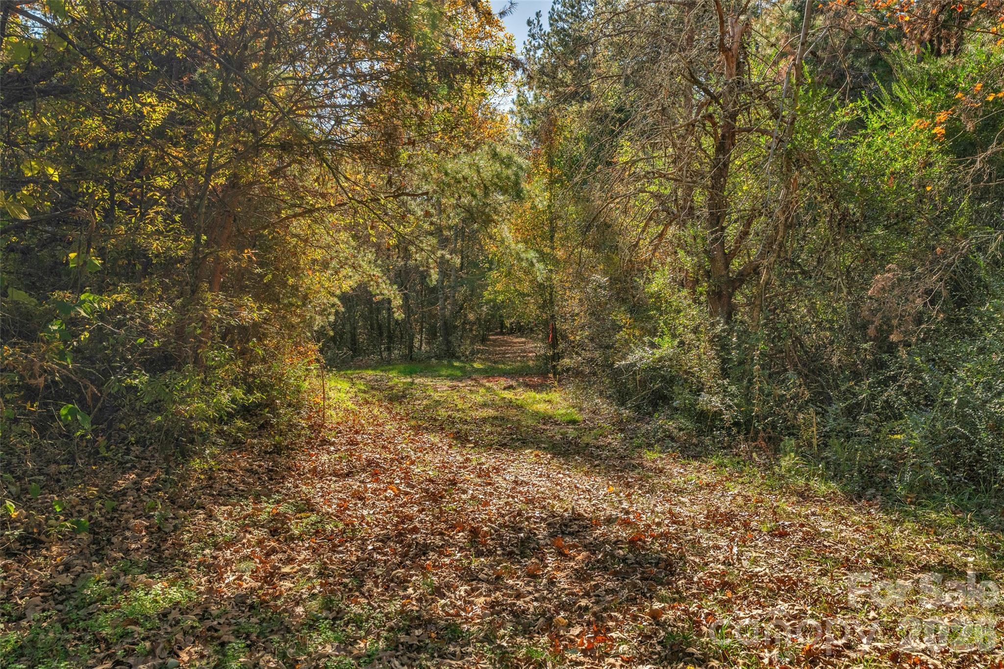 0 Bud Davis Road, Unit 9 Vale, NC 28168 - Photo 12 of 23 a view of a yard with a tree