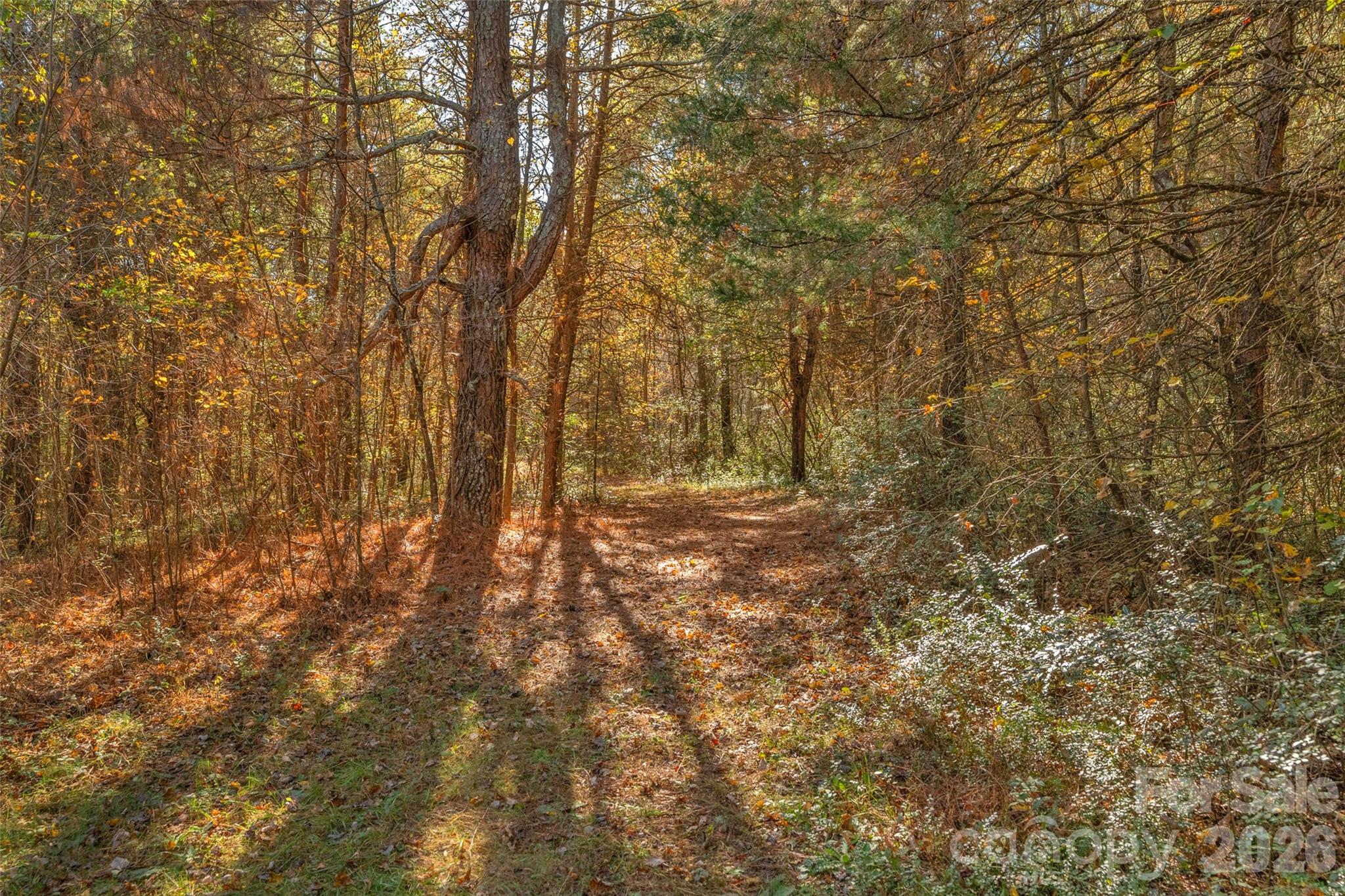 0 Bud Davis Road, Unit 9 Vale, NC 28168 - Photo 14 of 23 a view of yard