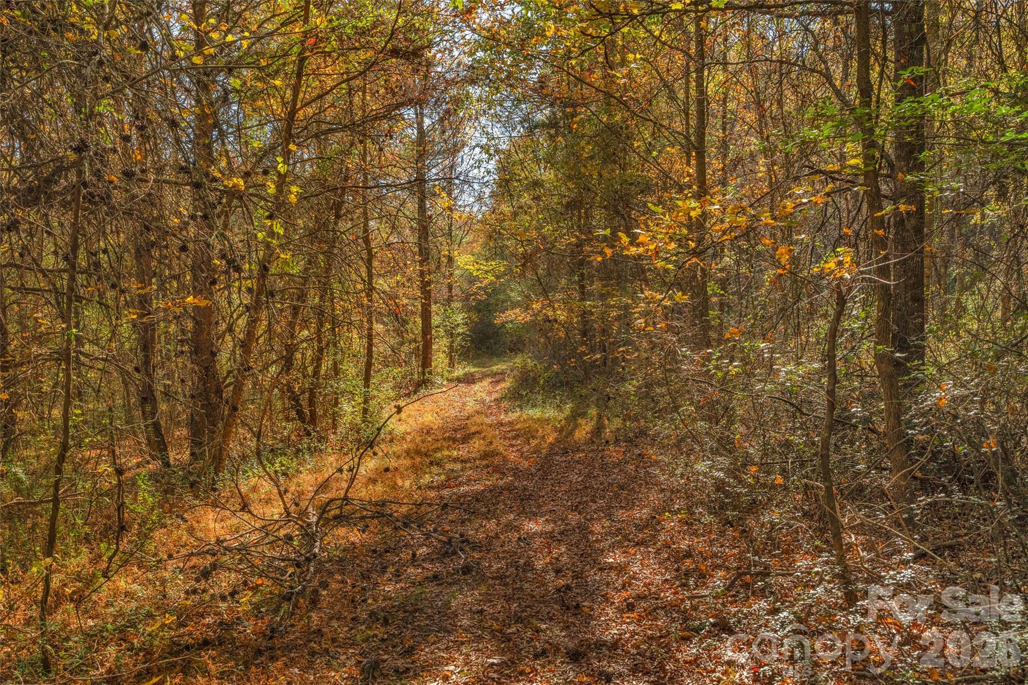 0 Bud Davis Road, Unit 9 Vale, NC 28168 - Photo 15 of 23 a view of a yard