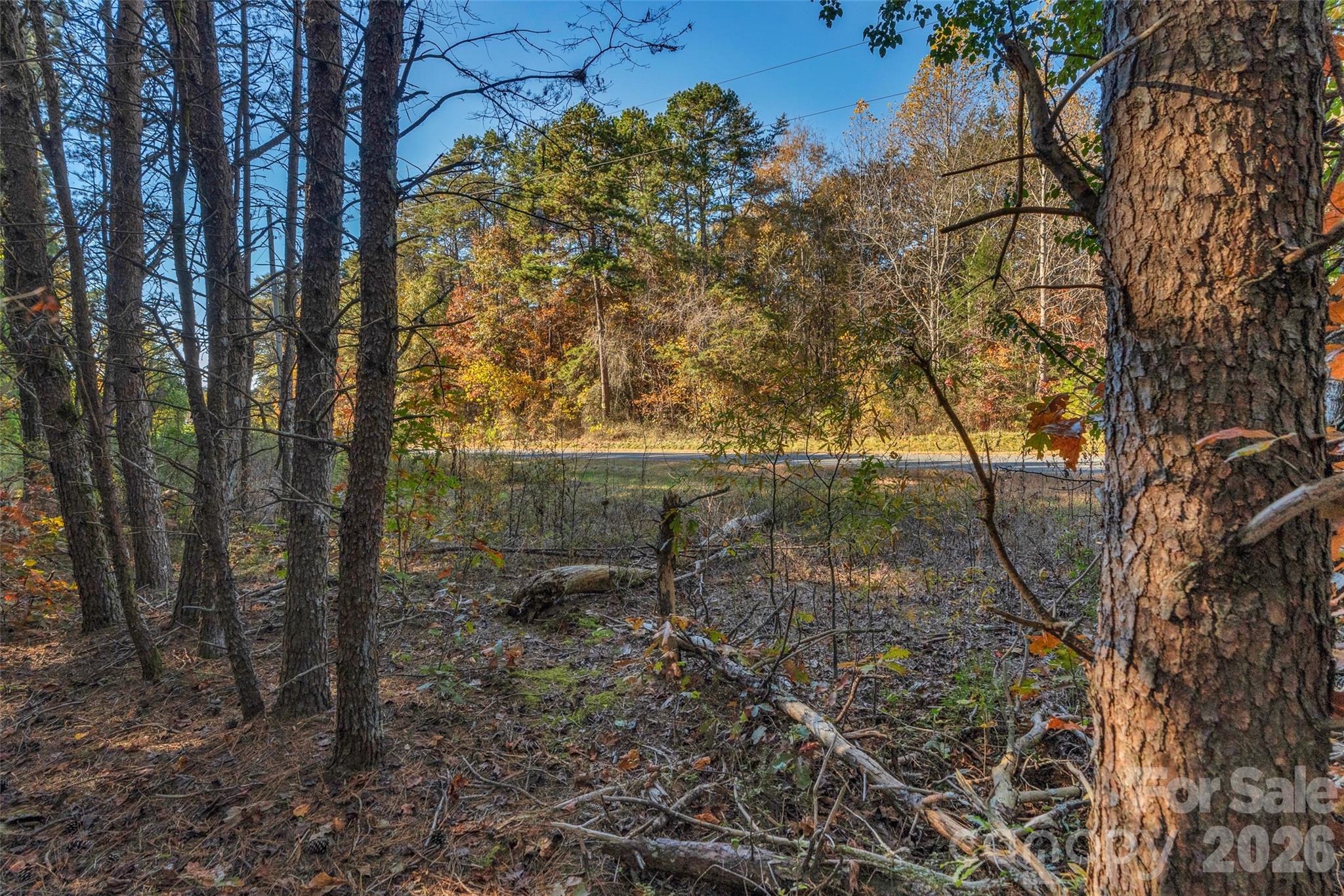 0 Bud Davis Road, Unit 9 Vale, NC 28168 - Photo 17 of 23 a backyard of a house with lots of green space