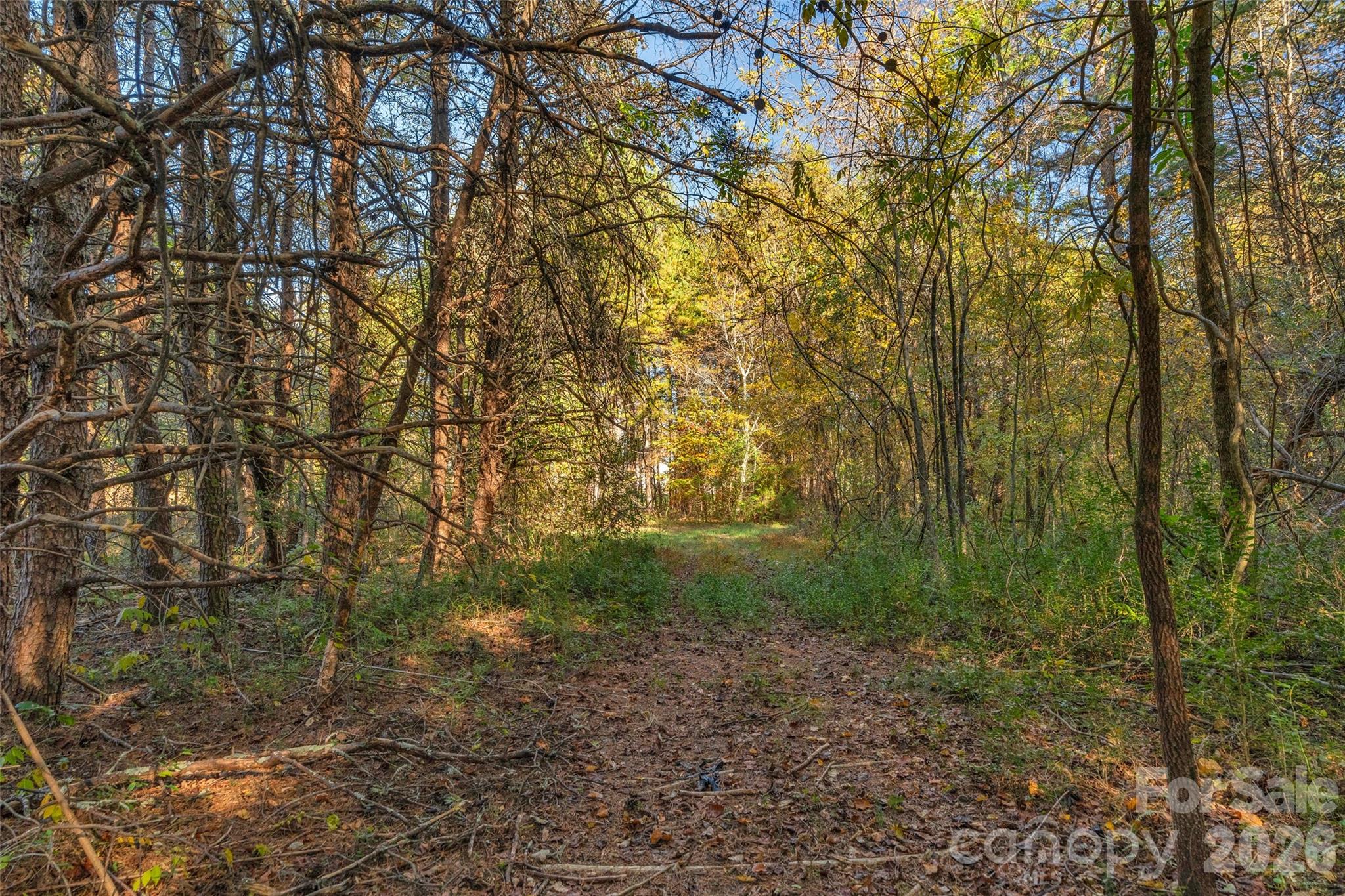 0 Bud Davis Road, Unit 9 Vale, NC 28168 - Photo 18 of 23 a view of a yard with large trees