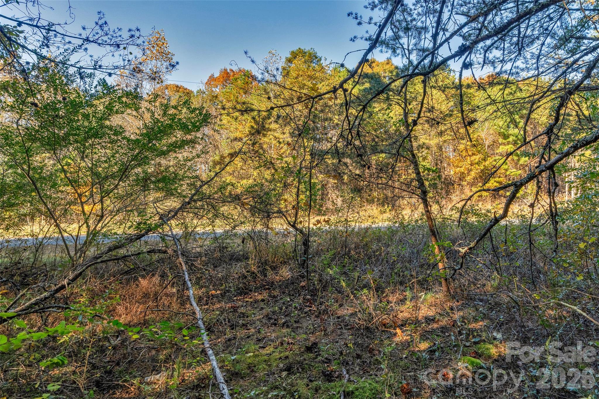 0 Bud Davis Road, Unit 9 Vale, NC 28168 - Photo 19 of 23 a view of a tree in a yard