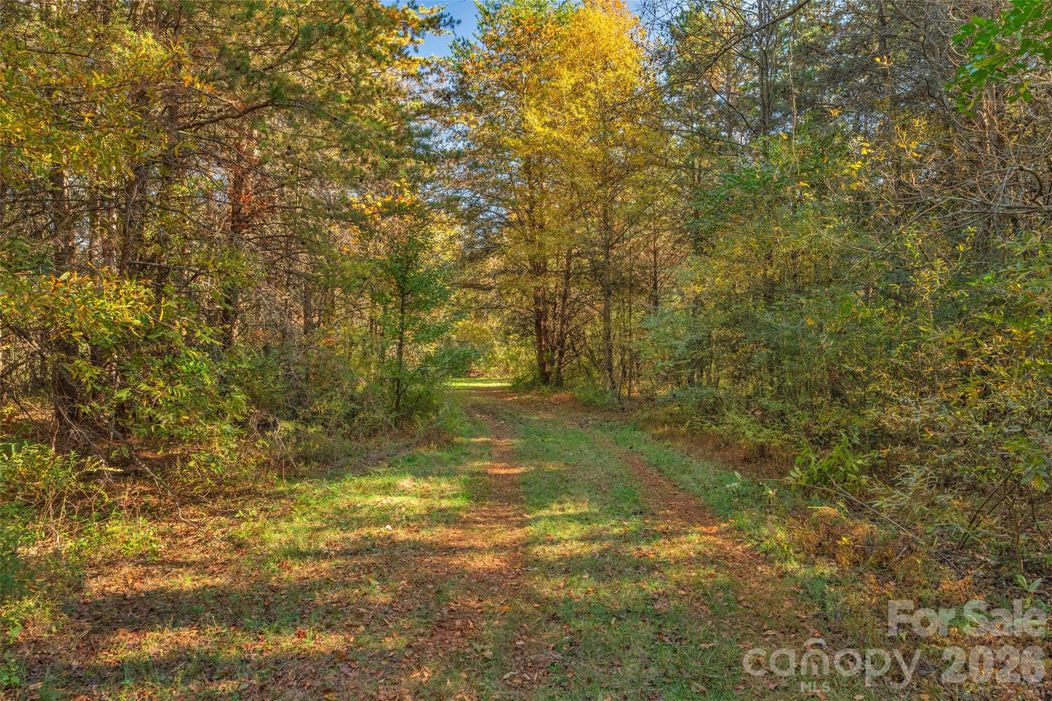 0 Bud Davis Road, Unit 9 Vale, NC 28168 - Photo 3 of 23 a view of a yard with an trees