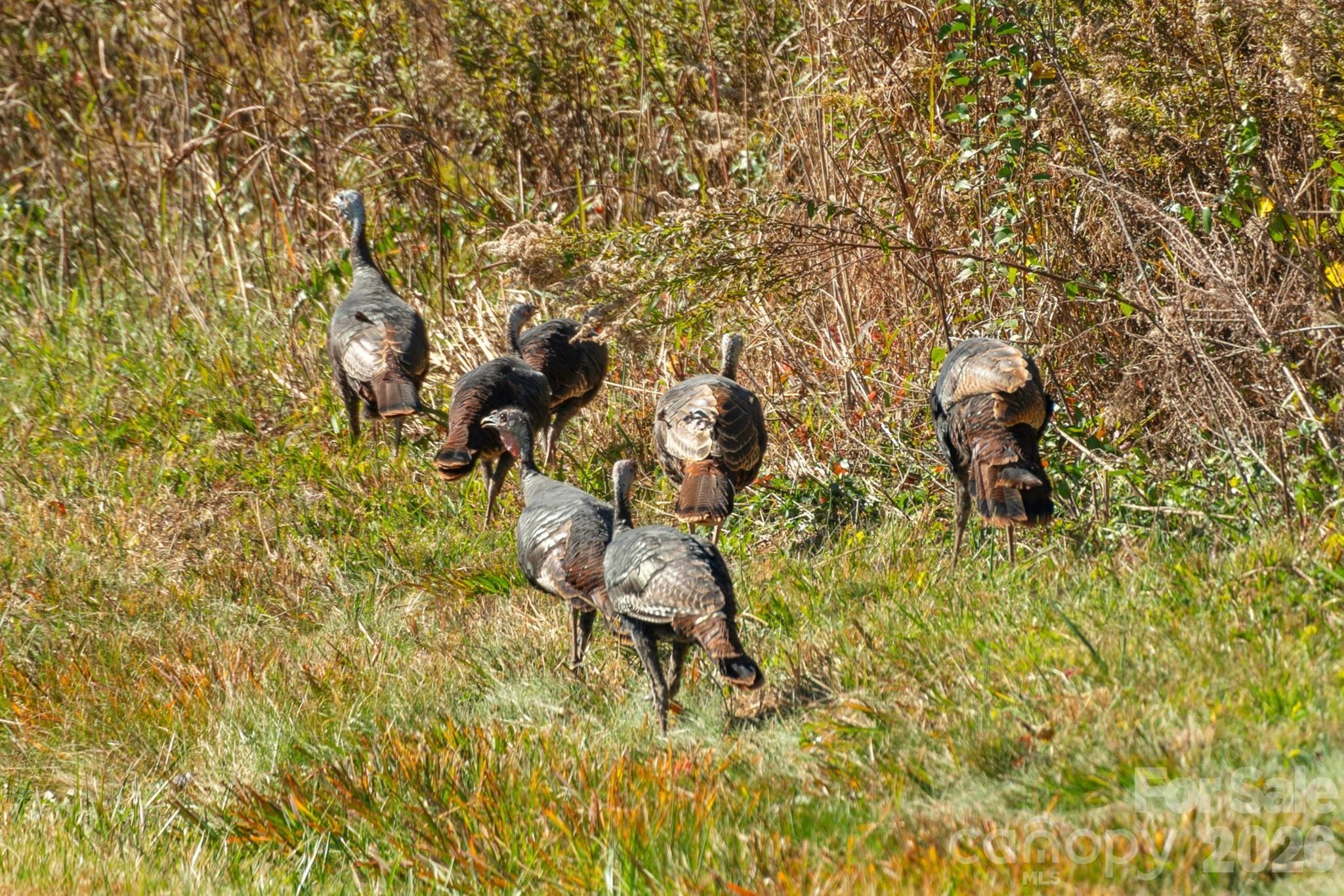 0 Bud Davis Road, Unit 9 Vale, NC 28168 - Photo 5 of 23 a bird view of a yard