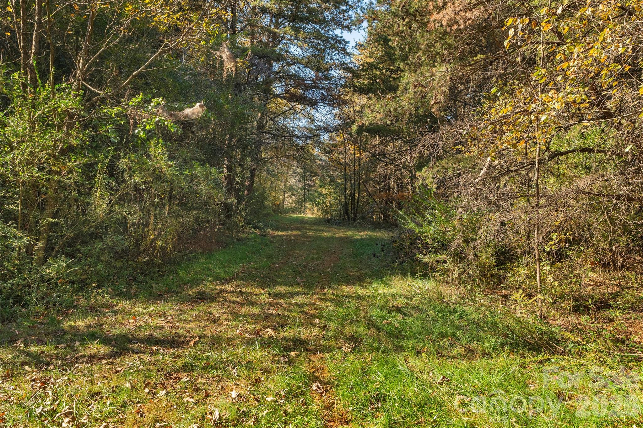 0 Bud Davis Road, Unit 9 Vale, NC 28168 - Photo 10 of 23 a view of a green field with plants in front of house