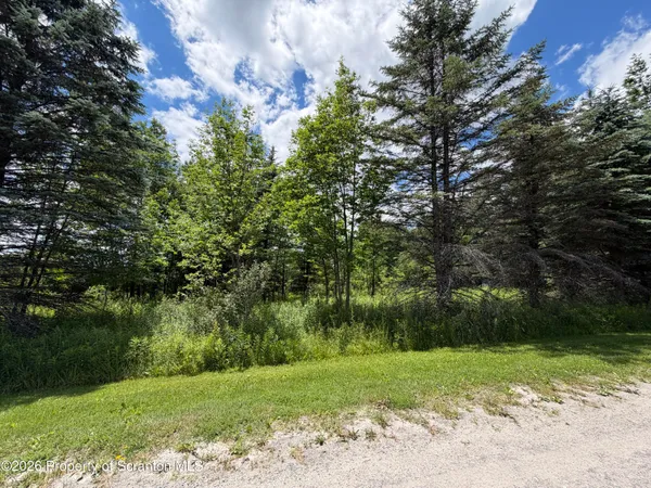 $49,000 | Mountain Drive, Thompson, PA 18465