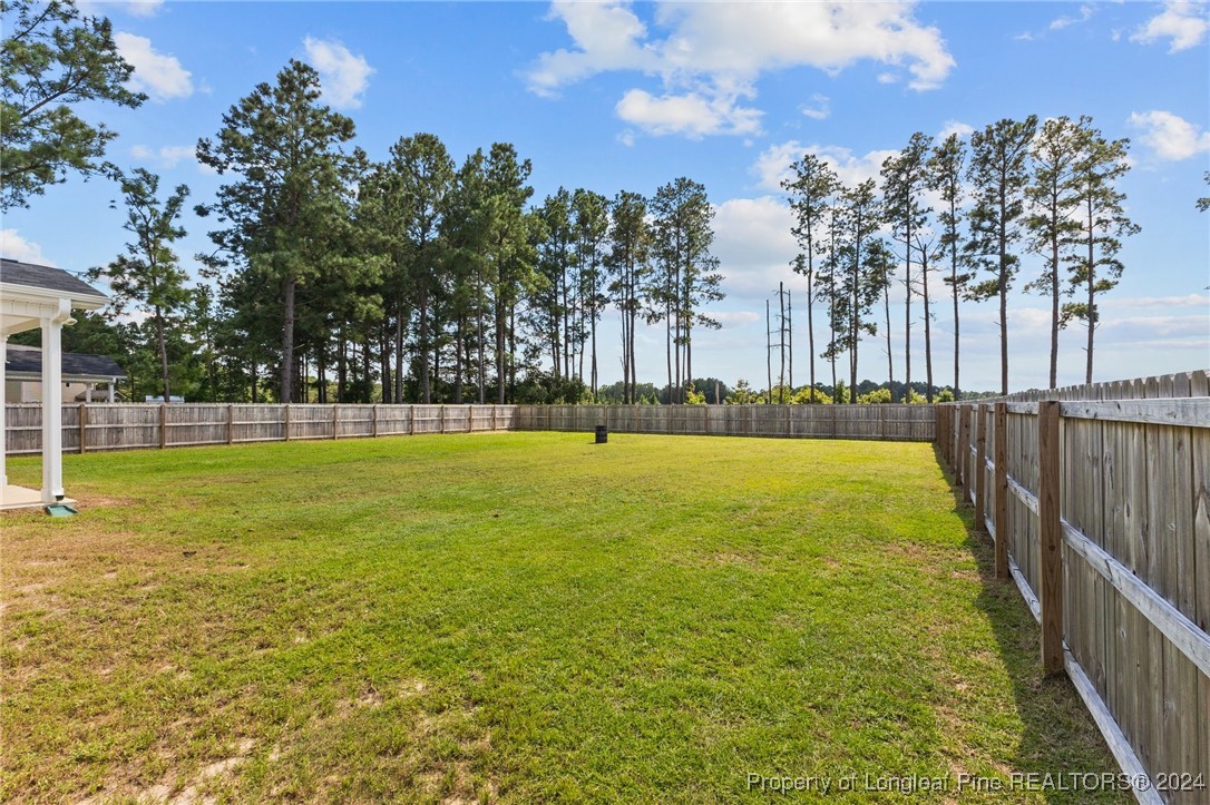425 Shelton Beard Road Stedman, NC 28391 - Photo 34 of 39 Gallery Image 34