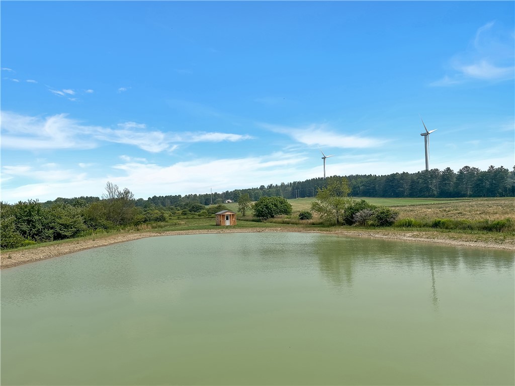 3919 Wing Street Eagle, NY 14024 - Photo 12 of 50