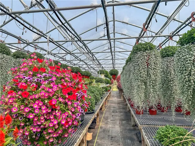 $749,000 | 3919 Wing Street, Eagle, NY 14024