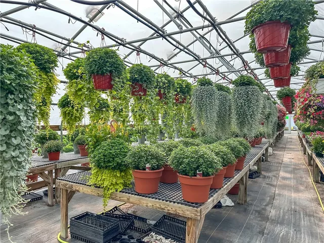 $749,000 | 3919 Wing Street, Eagle, NY 14024