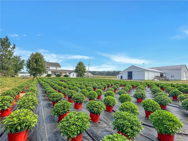 $749,000 | 3919 Wing Street, Eagle, NY 14024