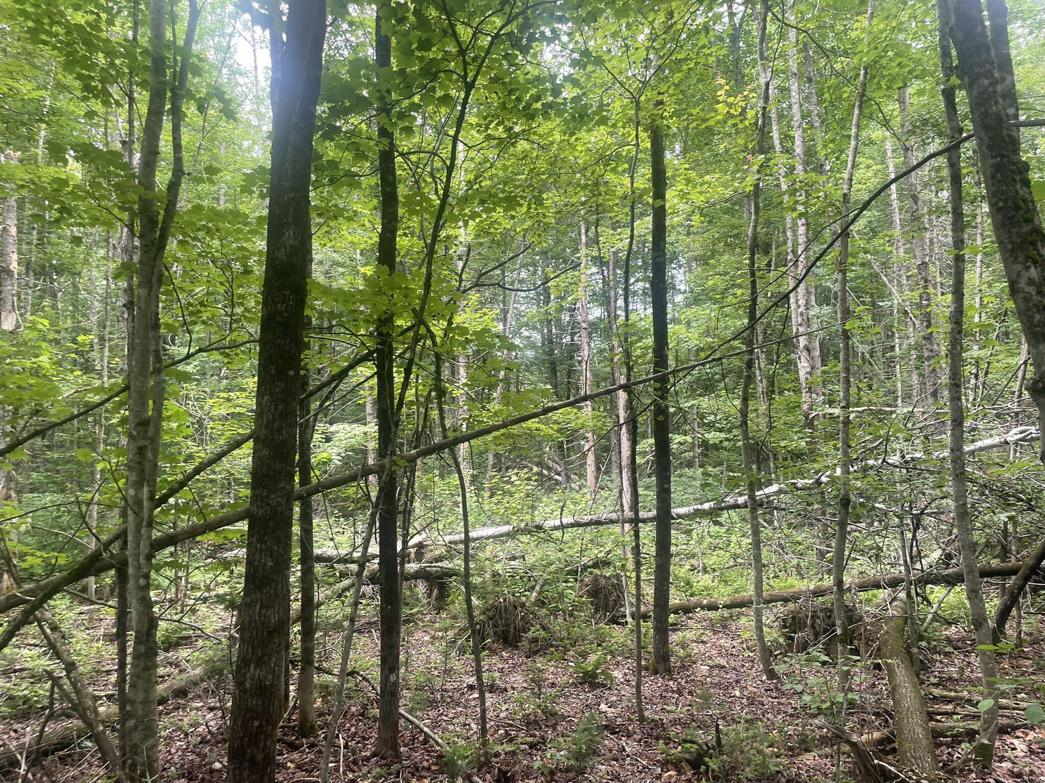 1075 Hill Road Clinton, ME 04927 - Photo 116 of 172 IMG_6214