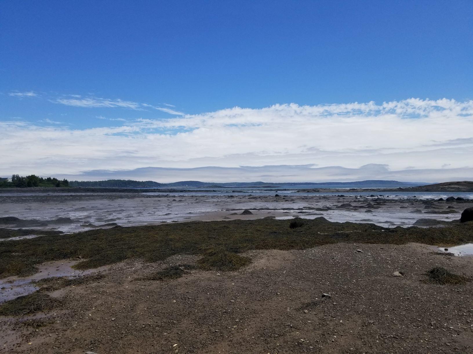 0 Lincoln Cove Road Perry, ME 04667 - Photo 7 of 53 Cobscook Bay southerly view 8