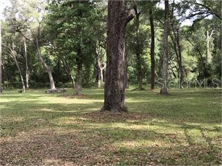 301 South Webster Bushnell, FL 33513 - Photo 2 of 2 a view of a tree in a yard