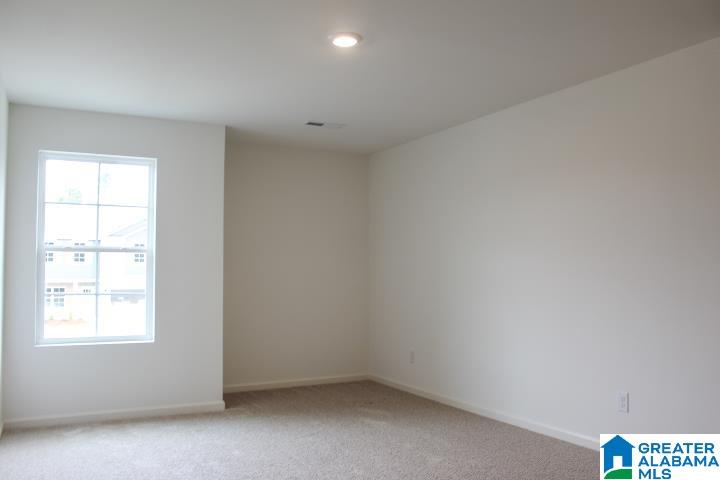 520 Rock Terrace Way Helena, AL 35080 - Photo 34 of 53