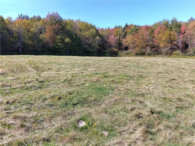 $57,500 | 1991 Kotary Road, Lewis, NY 13325