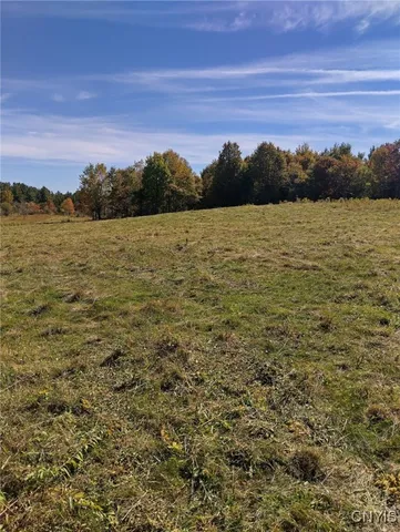 $57,500 | 1991 Kotary Road, Lewis, NY 13325