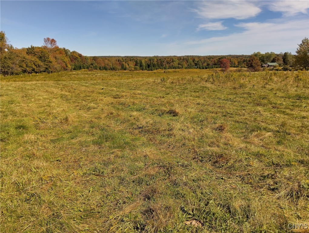 1991 Kotary Road Lewis, NY 13325 - Photo 12 of 17