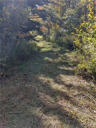 $57,500 | 1991 Kotary Road, Lewis, NY 13325