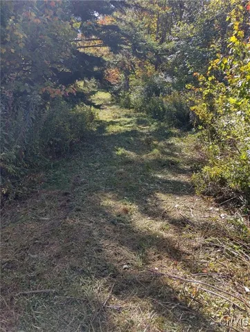 $57,500 | 1991 Kotary Road, Lewis, NY 13325