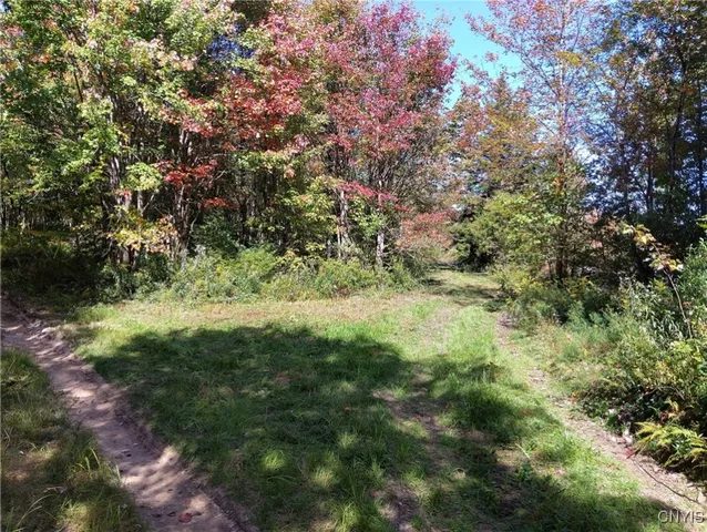 $57,500 | 1991 Kotary Road, Lewis, NY 13325