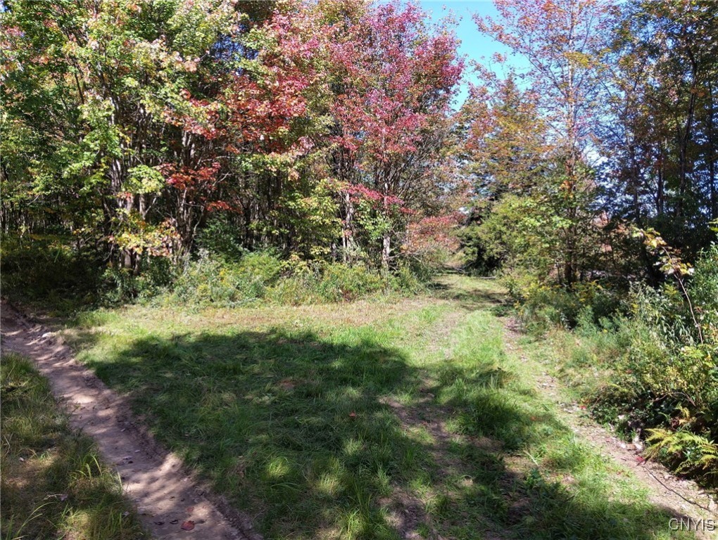 1991 Kotary Road Lewis, NY 13325 - Photo 15 of 17