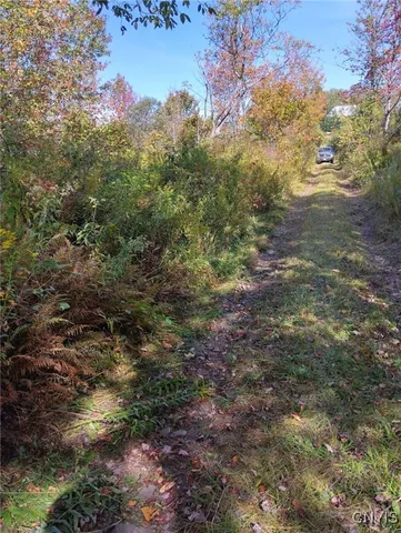 $57,500 | 1991 Kotary Road, Lewis, NY 13325