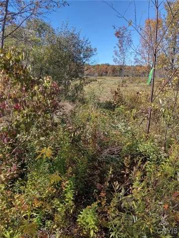 $57,500 | 1991 Kotary Road, Lewis, NY 13325