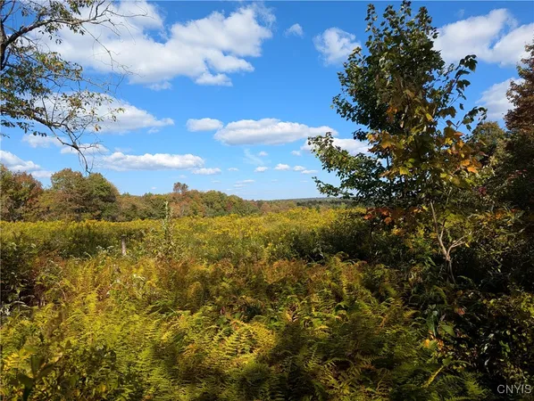 $57,500 | 1991 Kotary Road, Lewis, NY 13325