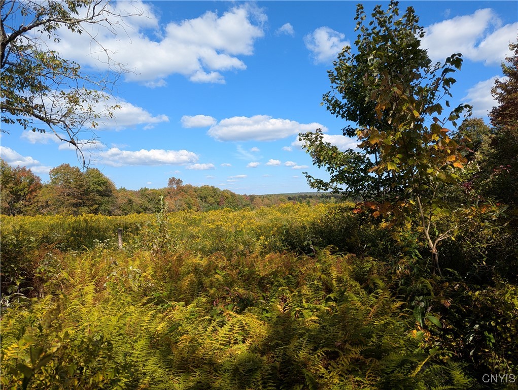 1991 Kotary Road Lewis, NY 13325 - Photo 2 of 17