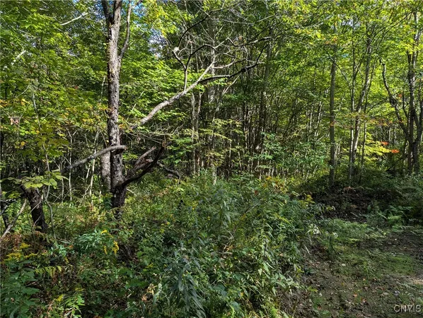 $57,500 | 1991 Kotary Road, Lewis, NY 13325